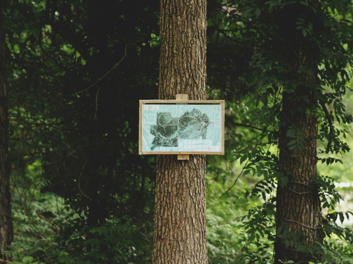 CHAPTER 74: LOVE OF SIMPLICITY WAS IN HAZRAT MIRZA’S&nbsp;NATURE