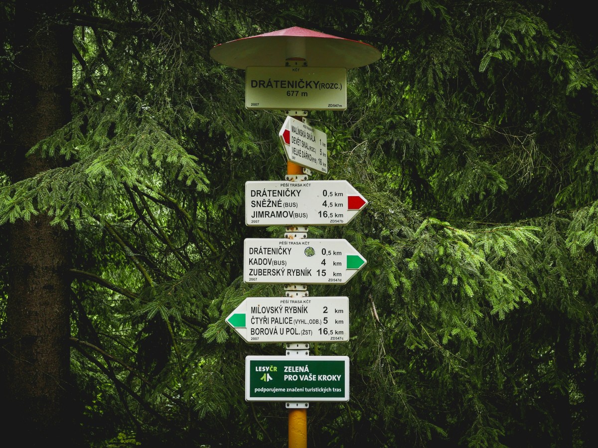 A Foreword by the&nbsp;Translator